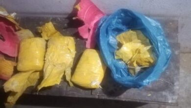 बीएसएफ और पंजाब पुलिस ने तरनतारन में प्रतिबंधित सामग्री के 4 पैकेट किए बरामद