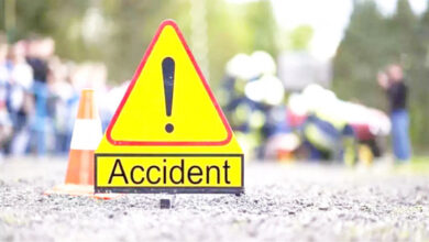 sultanpur road accident, dead cattle, bike accident, road safety, importance of helmet, walking safely on the road, death of brothers, bike without helmet, safety rules, injured bike rider,