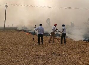 कृषि विभाग ने प्रदूषण से लड़ने के लिए खेतों में अग्निशामकों का किया इस्तेमाल किया