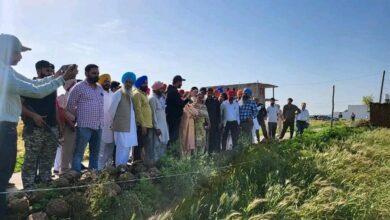 पंजाब सरकार हर वर्ग के कल्याण के लिए प्रतिबद्ध: शेरी कलसी