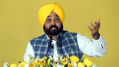 आप राज्य की सभी 13 लोगों सीटों पर हासिल करेगी जीत: सीएम मान