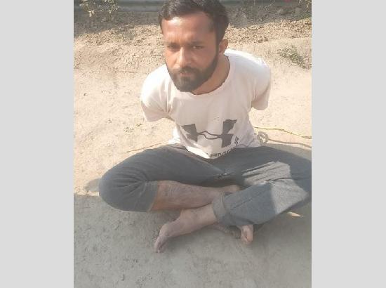 भारतीय सीमा में घुस रहे पाकिस्तानी घुसपैठिये को बीएसएफ ने किया गिरफ्तार