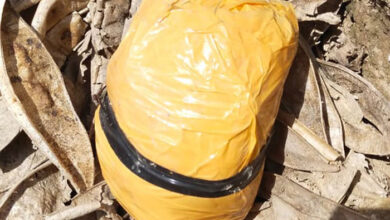 BSF और पंजाब पुलिस ने तरनतारन से संयुक्त ऑपरेशन में आधा किलो हेरोइन की बरामद