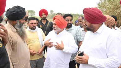 मंत्री जौरामाजरा ने की टिवाना, आलमगीर और अमलाला में घग्गर बांध के सुदृढ़ीकरण कार्य की समीक्षा