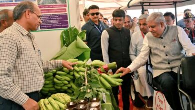 हिसार यूनिवर्सिटी में फल, सब्जियां और मधुमक्खी पालन पर प्रशिक्षण कार्यक्रम किए जाएंगे आयोजित