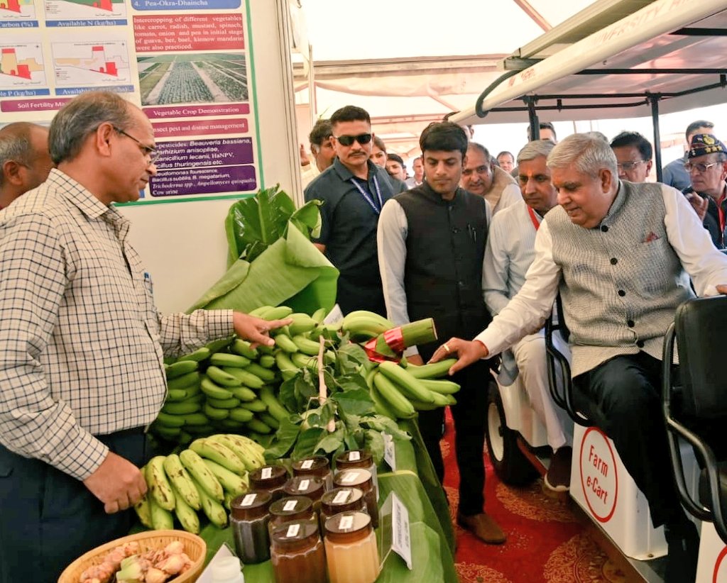 हिसार यूनिवर्सिटी में फल, सब्जियां और मधुमक्खी पालन पर प्रशिक्षण कार्यक्रम किए जाएंगे आयोजित