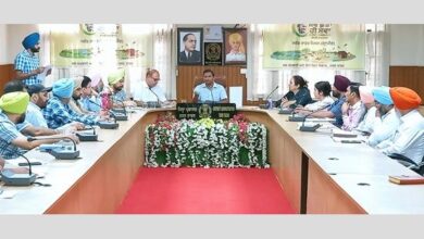 जिले में इस सीजन के दौरान लगभग 10 लाख नए पौधे लगाने का लक्ष्य: तरनतारन डीसी