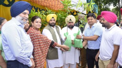 पंजाब मंडी बोर्ड और पीएसपीसीएल की पहल का उद्देश्य पर्यावरण को संरक्षित करना: मंत्री हरभजन सिंह ईटीओ