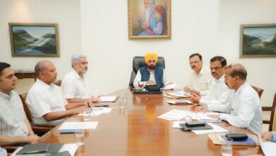 सीएम मान ने किसानों से किया आह्वान, कहा अपने ट्यूबवेल के आसपास कम से कम लगाएं 4 पेड़