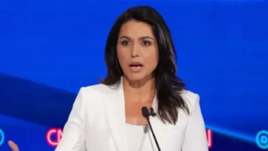 Tulsi Gabbard's statement on EVM hacking goes viral, Election Commission clarifies