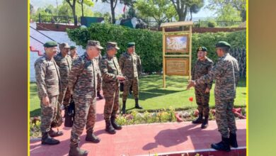 "Two Adils, two stories in Pahalgam"