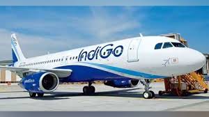 Woman dies in Indigo flight, emergency landing