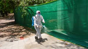 Bird flu investigation: Committee report on Gorakhpur zoo soon