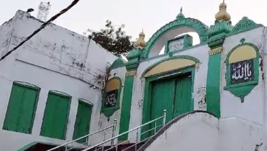 Sambhal Masjid survey gets green signal from High Court