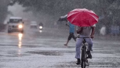 IMD Alert: Heavy rain in May itself, monsoon will reach these states