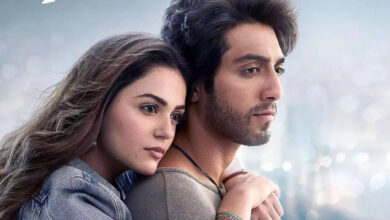 Saiyaara ruined films including Housefull 5