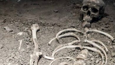 Sensation due to finding skull and skeleton in a religious place, man reached the police station