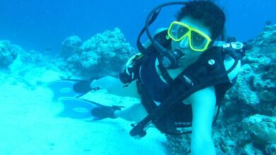There is travel thrill in the sea too | Know the best places for Scuba Diving