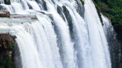 Get lost in the valleys of waterfalls, explore the beauty of Rewa during monsoon