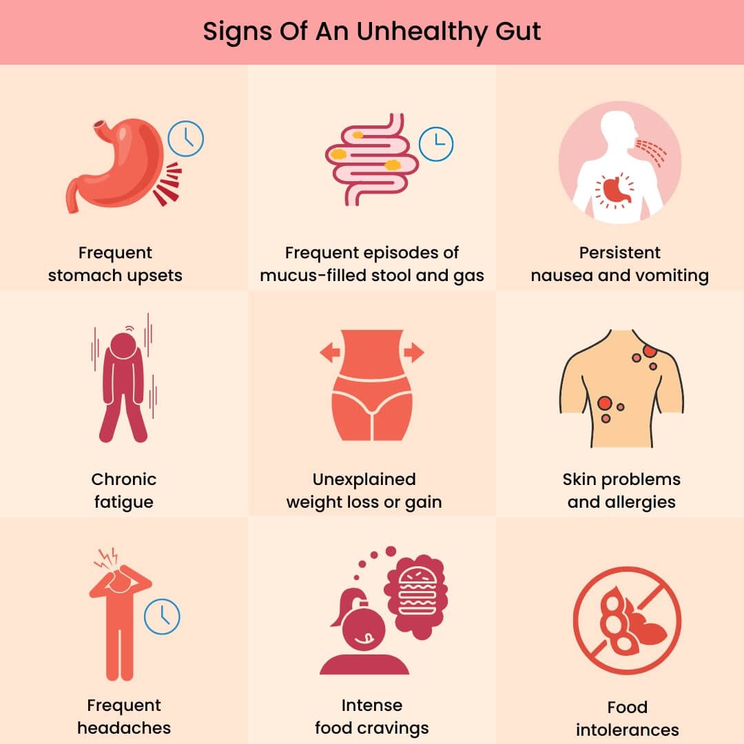 Signs of poor gut health and easy ways to improve it