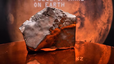 Piece of Mars sold for $5.3 million, setting auction record