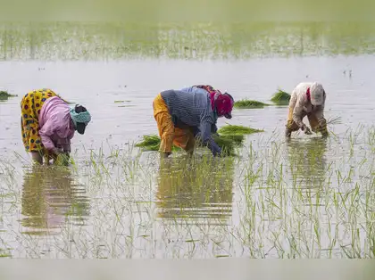 China banned fertilizer, India ensured supply of DAP from Saudi in 5 years