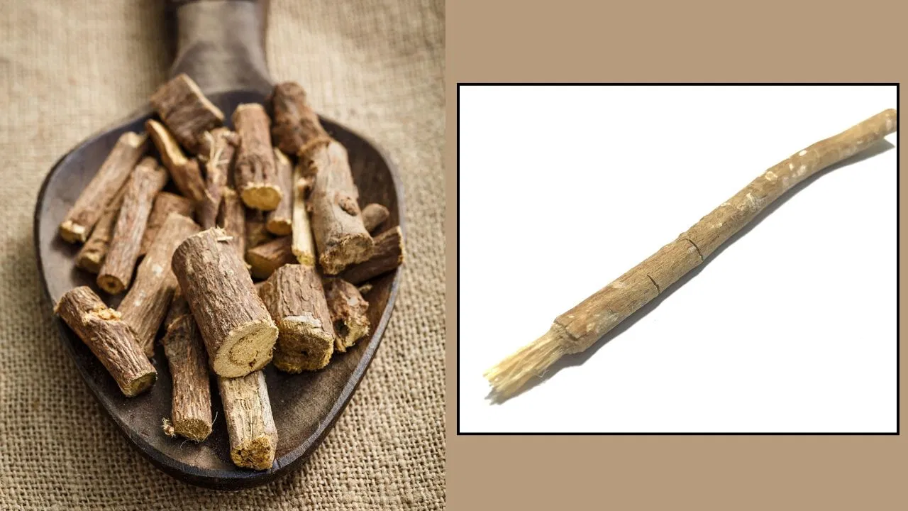 Not only neem, teeth will become stronger with the toothpicks of these 5 trees
