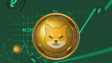 Shiba Inu burn rate increased by 2753%: What is crypto burn and how does it increase the price?