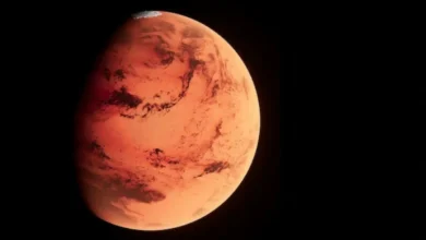 Part of Mars will be auctioned, know the price and features