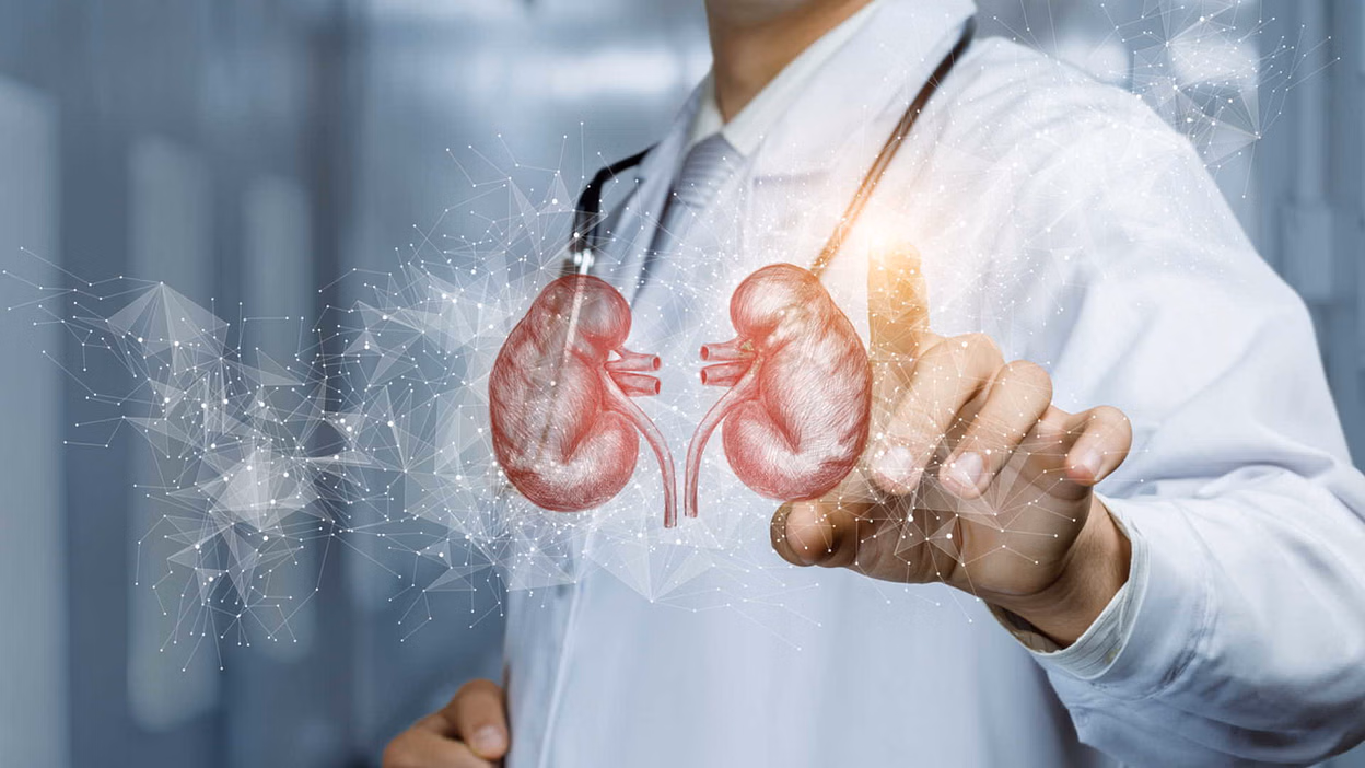 Eat these 7 foods for kidney detox, keep the kidneys clean and healthy
