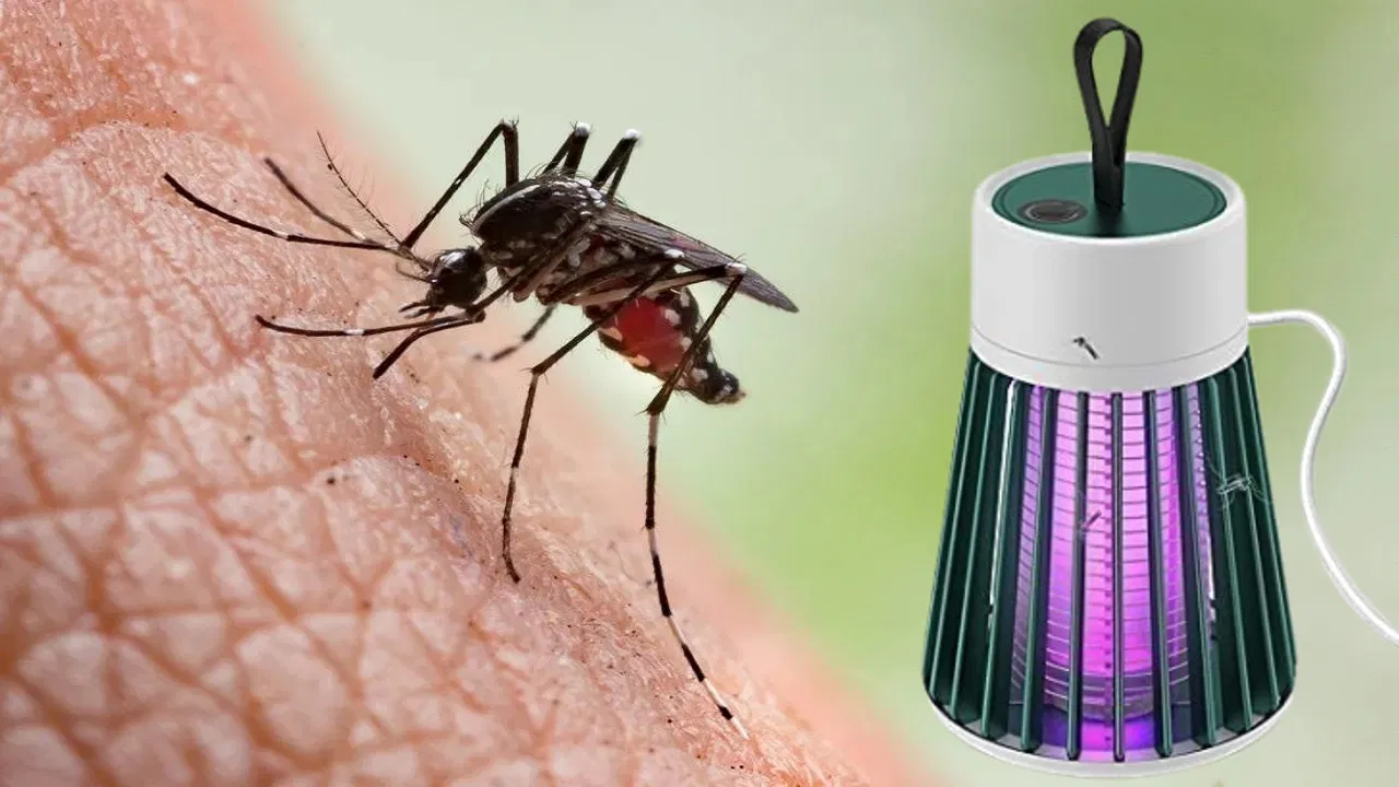 Mosquito killer machine worth ₹199 will work in the rain without smoke and chemicals