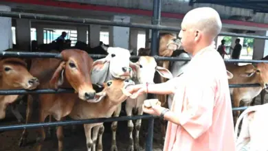 *गोशालाओं में हो सकेंगे मांगलिक कार्यक्रम, गो-पर्यटन से गांवों को मिलेगा कमाई का नया रास्ता*