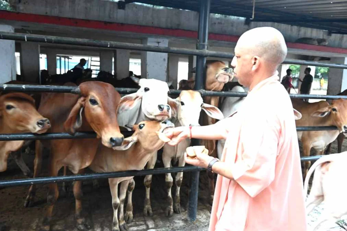 *गोशालाओं में हो सकेंगे मांगलिक कार्यक्रम, गो-पर्यटन से गांवों को मिलेगा कमाई का नया रास्ता*