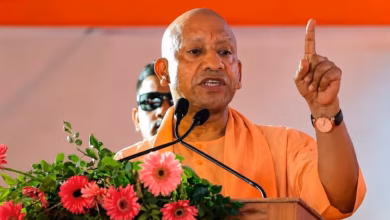 योगी सरकार का जॉब कैलेंडर ऑन, चार दिन में 5,297 नियुक्तियां