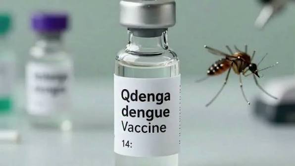 QDENGA Vaccine: भारत में 2027 में आएगी पहली डेंगू वैक्सीन